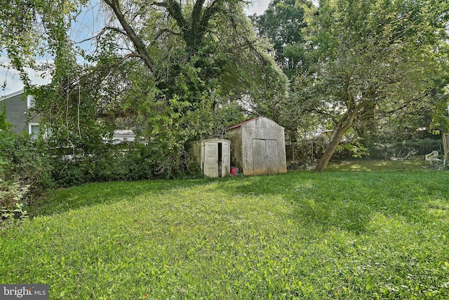 view of yard featuring a shed