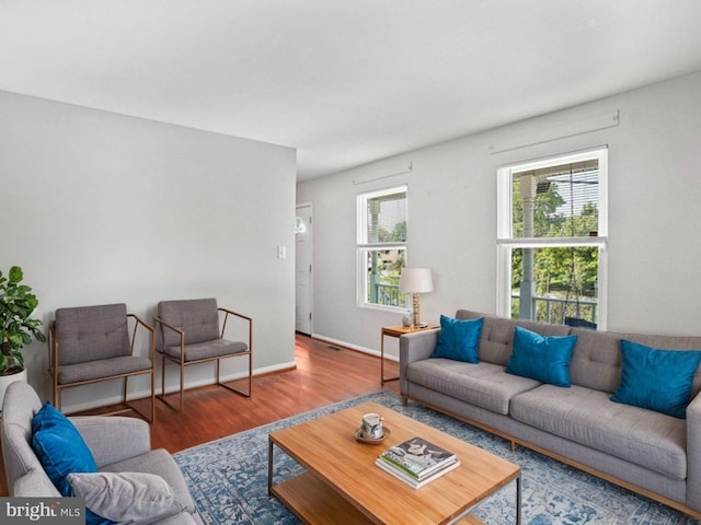 living room with wood-type flooring and plenty of natural light