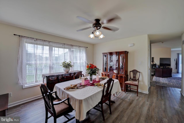 dining room with ceiling fan, dark hardwood / wood-style floors, and a healthy amount of sunlight