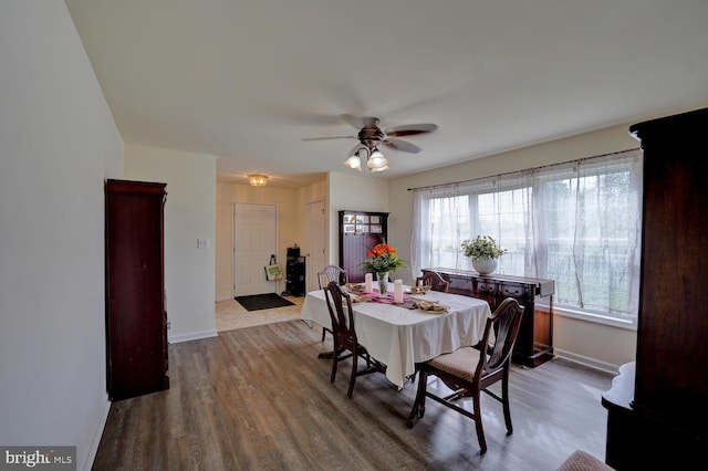 dining area featuring wood-type flooring and ceiling fan