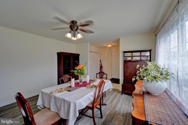 dining room with ceiling fan and hardwood / wood-style flooring