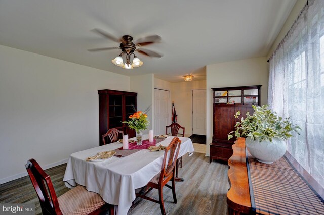 13 Kennison Ln, Dover, DE 19901 - dining space featuring baseboards and ceiling fan