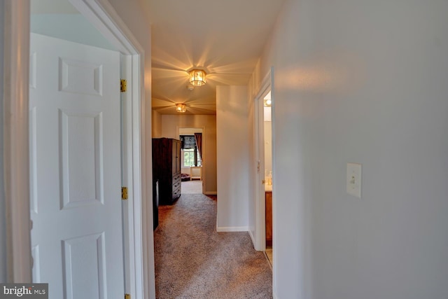 hallway featuring carpet