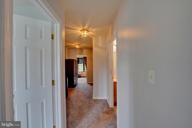 13 Kennison Ln, Dover, DE 19901 - hall featuring light carpet and baseboards