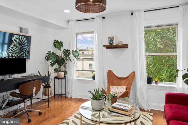 office with a wealth of natural light and hardwood / wood-style flooring