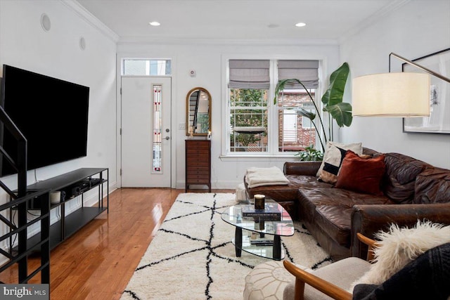 living room with light hardwood / wood-style floors and crown molding