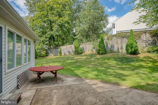 view of yard with a patio