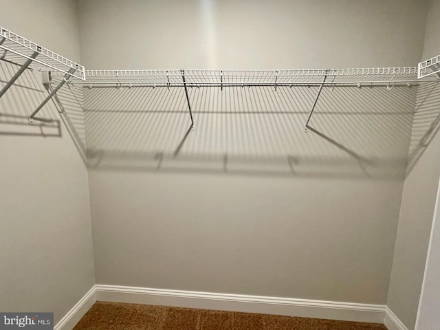 walk in closet with carpet