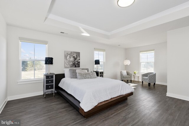 bedroom featuring dark hardwood / wood-style flooring, a tray ceiling, and multiple windows