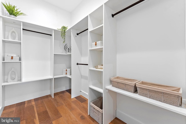 walk in closet with hardwood / wood-style floors