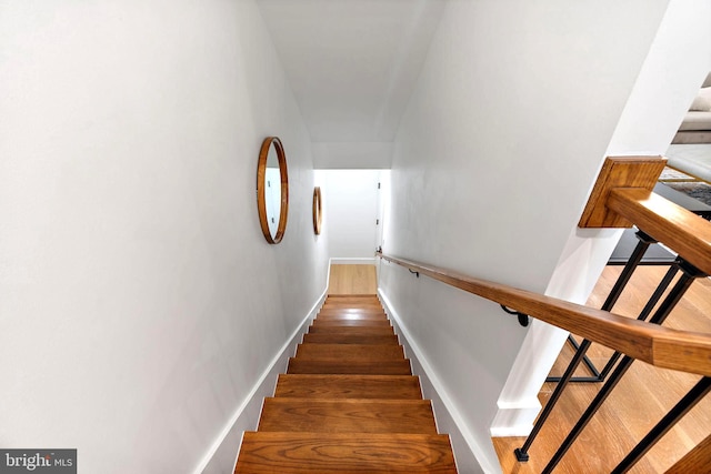 staircase featuring hardwood / wood-style floors