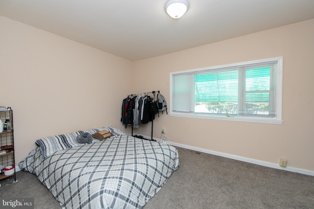 bedroom featuring carpet