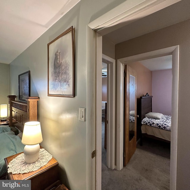 hallway with carpet flooring