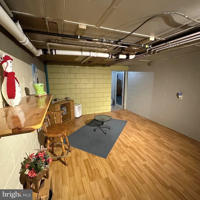 basement with hardwood / wood-style flooring