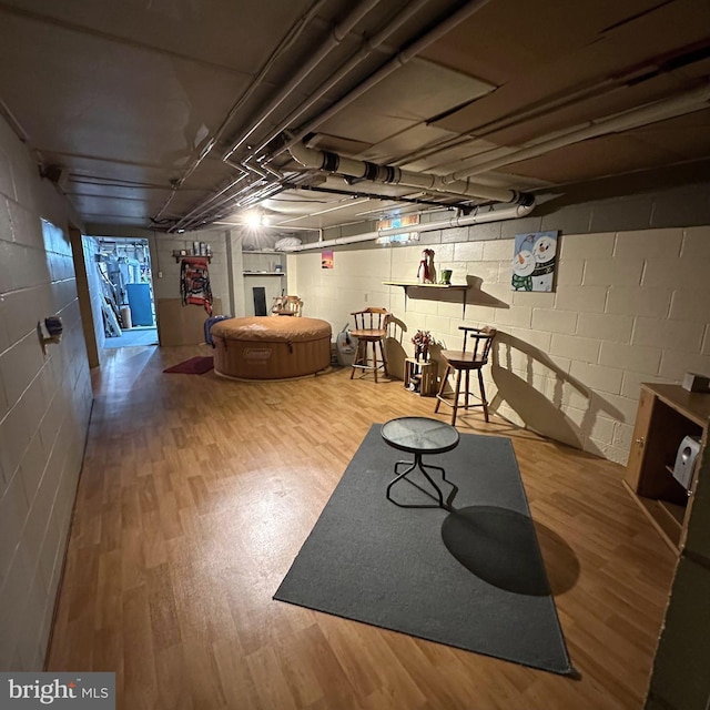 basement featuring hardwood / wood-style floors