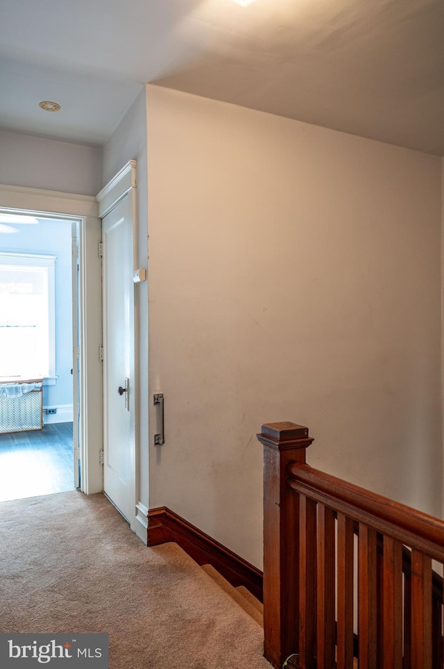 stairway with carpet floors