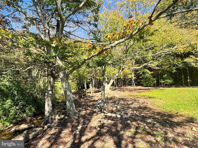 view of local wilderness with a forest view