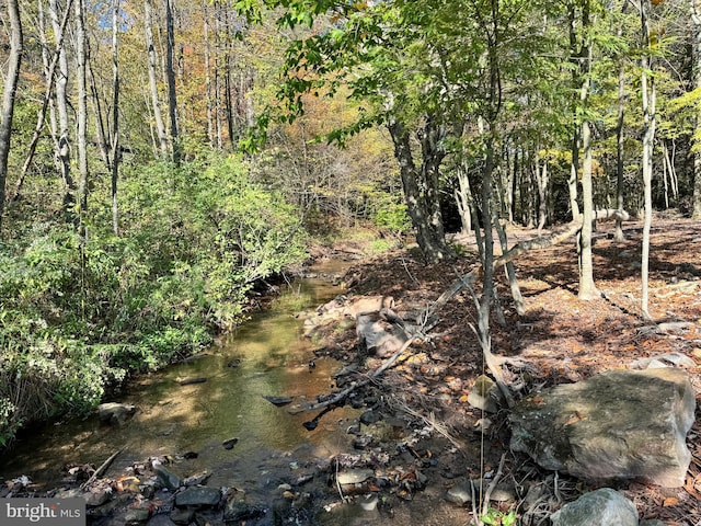 view of local wilderness