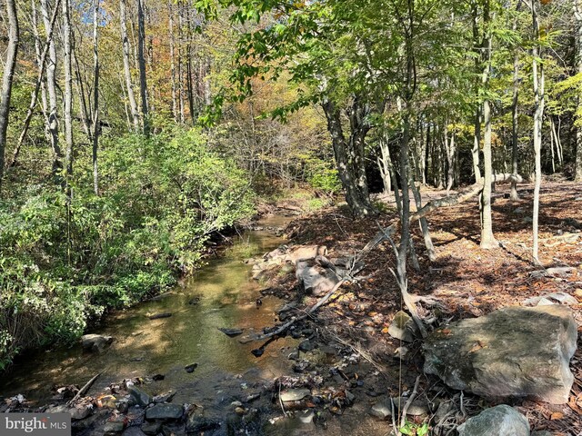 view of nature featuring a forest view