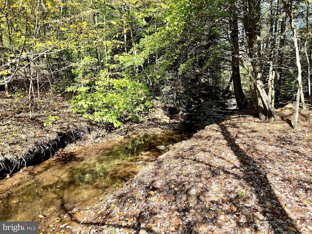 view of landscape with a wooded view