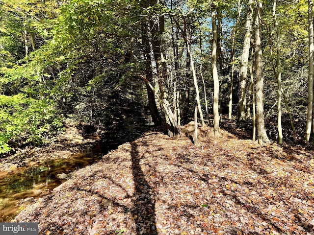 view of landscape with a forest view