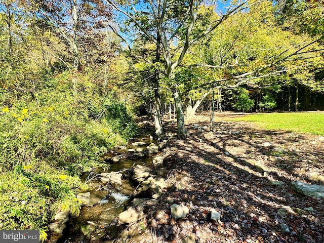 view of landscape