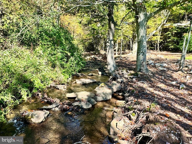 view of landscape