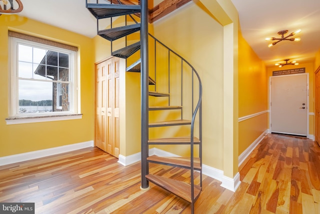 staircase featuring hardwood / wood-style flooring