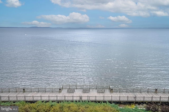 view of water feature