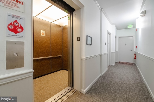 corridor featuring light carpet, ornamental molding, and elevator