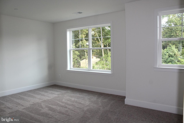 carpeted spare room featuring a wealth of natural light