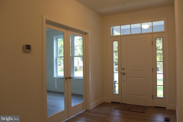 foyer entrance featuring dark wood-type flooring