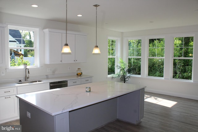 kitchen featuring stainless steel dishwasher, dark hardwood / wood-style floors, sink, and white cabinetry