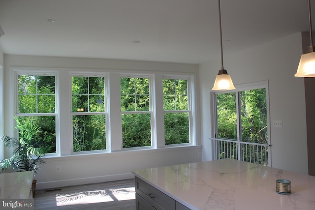 unfurnished dining area featuring light hardwood / wood-style flooring and a healthy amount of sunlight