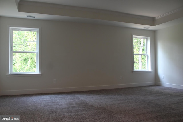 carpeted spare room with ornamental molding, a raised ceiling, and plenty of natural light