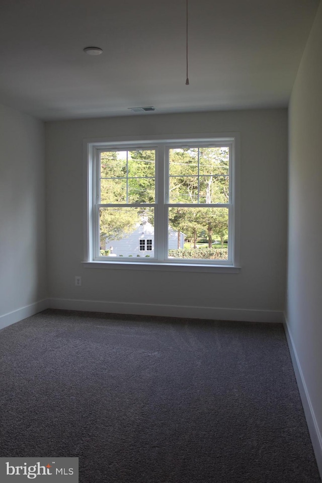 empty room featuring a wealth of natural light and dark colored carpet