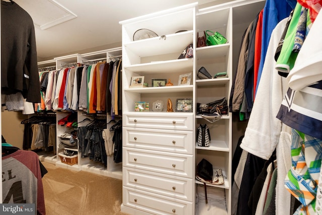 view of spacious closet