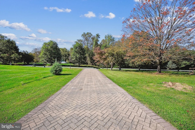 view of home's community featuring a yard