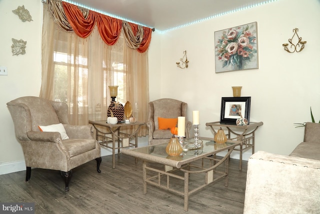 sitting room featuring dark hardwood / wood-style flooring