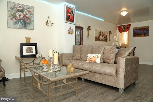 living room with dark hardwood / wood-style floors