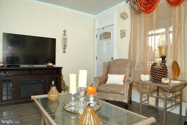 living room with dark hardwood / wood-style floors