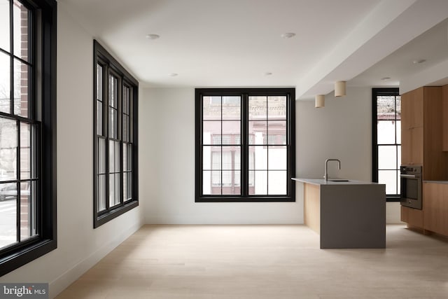 interior space with sink, light hardwood / wood-style flooring, and a wealth of natural light