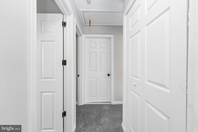 hallway with dark colored carpet