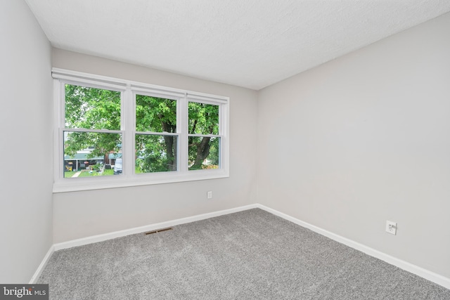 unfurnished room featuring carpet floors and a textured ceiling