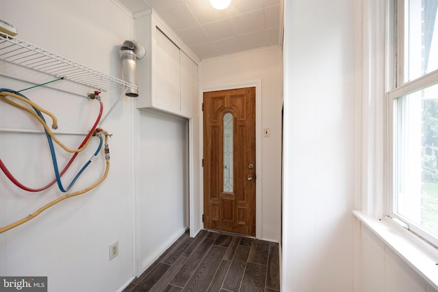 doorway with dark hardwood / wood-style floors and plenty of natural light