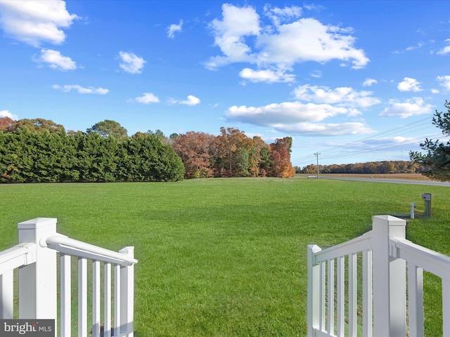 view of yard