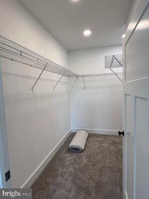 spacious closet featuring dark colored carpet