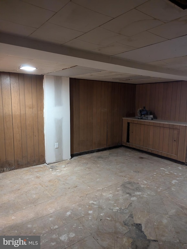 basement featuring wood walls