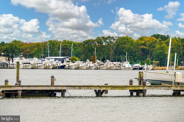 view of property's community featuring a dock, a forest view, and a water view