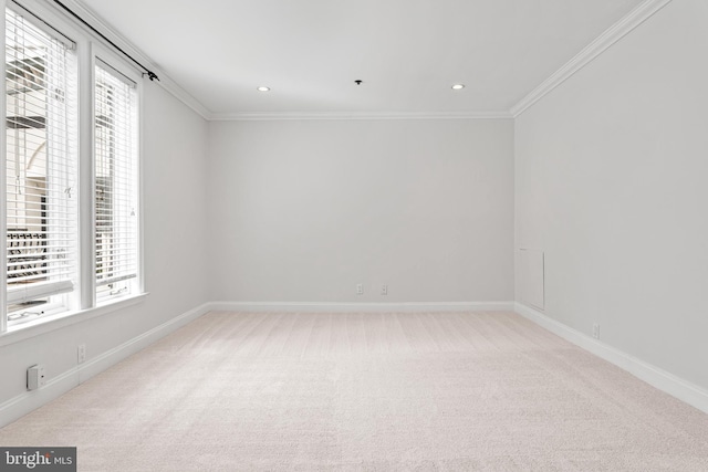 carpeted empty room with crown molding